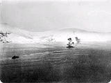 第二次ナルヴィク海戦